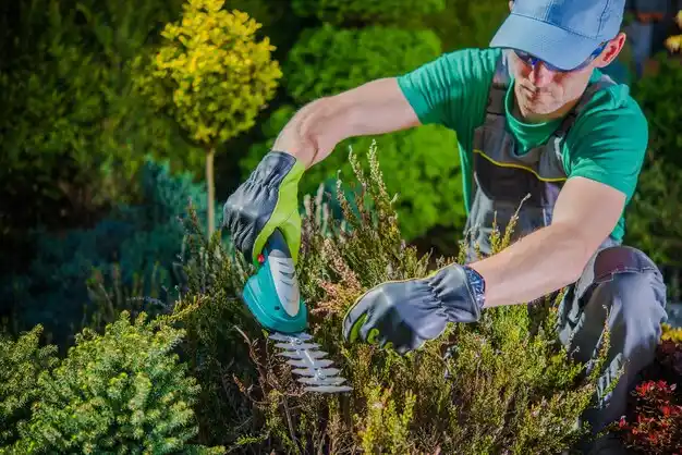 landscaping services Royal Oak